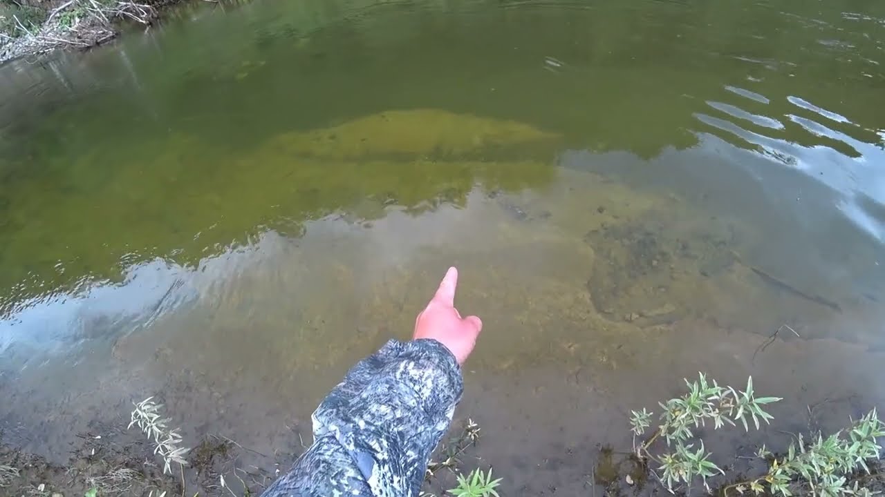 На ЭТОМ Свале в ЯМУ Хариус КИШИТ/ Таскаю ХАРИУСА ОДИН ЗА ОДНИМ на Удочку/ Рыбалка на Таёжной Речке!