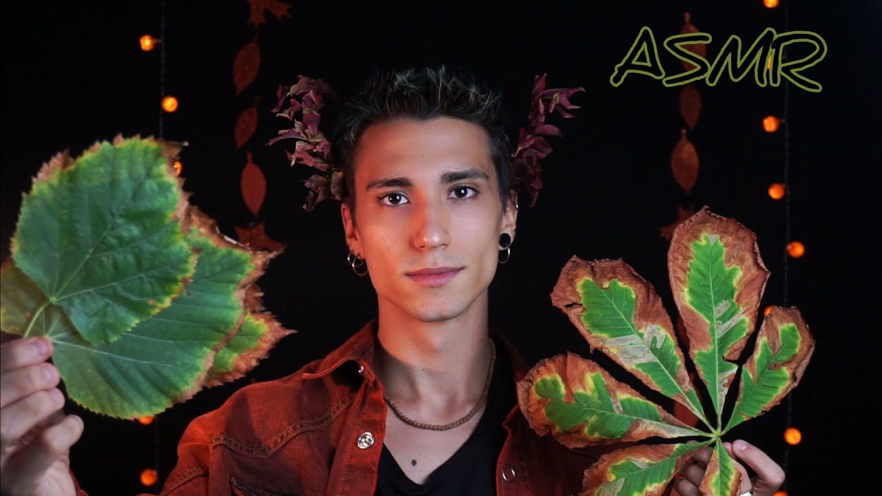 🍂🍁I SUONI DELL'AUTUNNO🍁🍂 | ASMR ITA