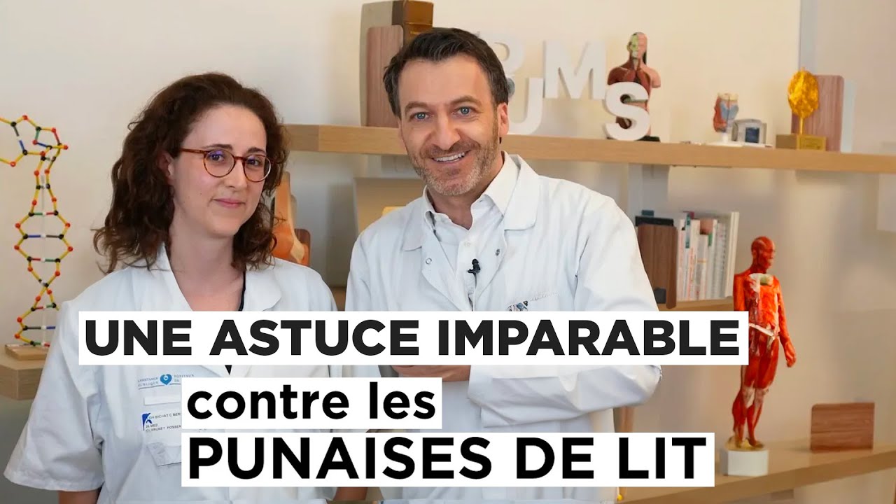 Comment se DÉBARRASSER des PUNAISES DE LIT