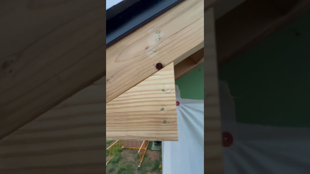 DIY debt free home build - framing bird boxes