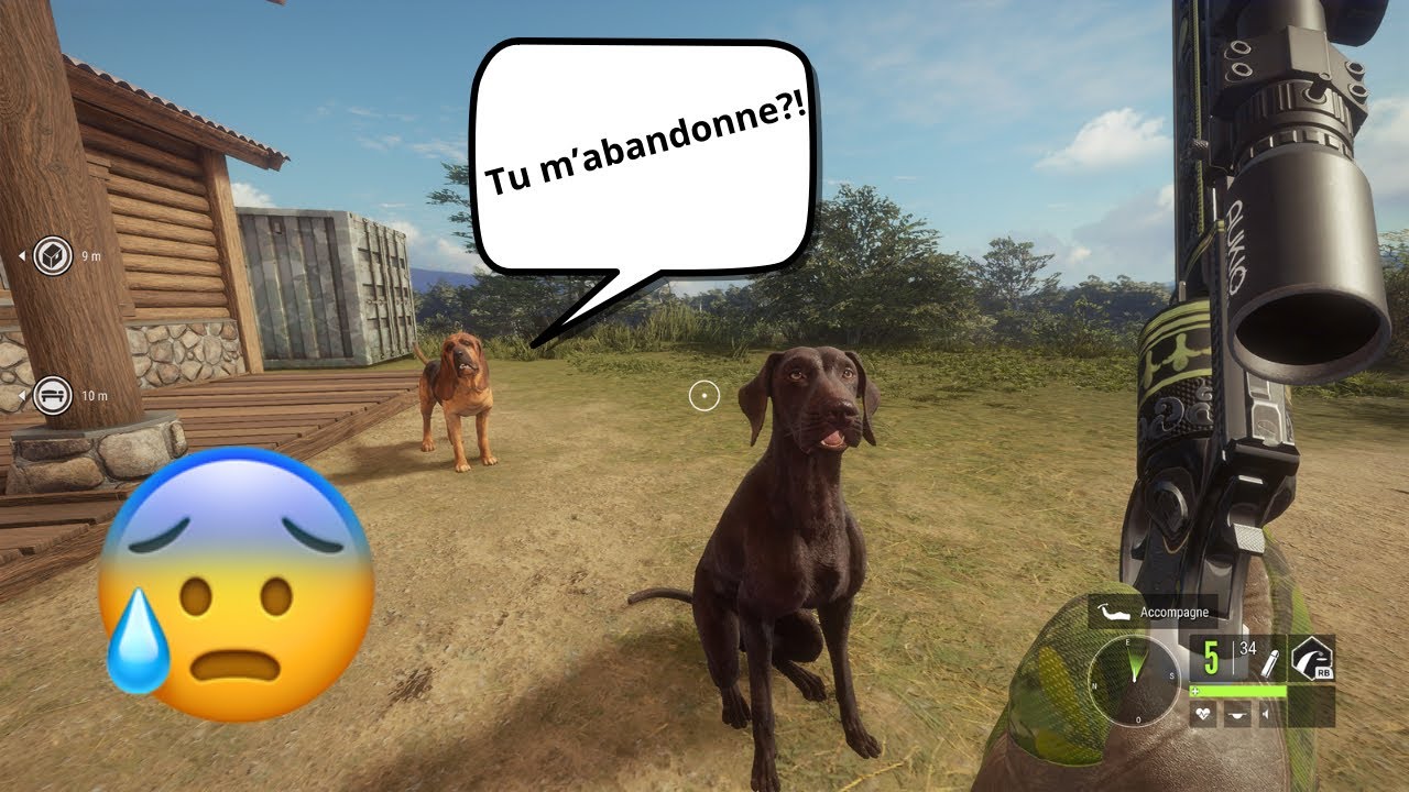 Nous avons un nouvel ami à vous présenter😄/The Hunter; Call Of The Wild/Rediff Twitch/￼