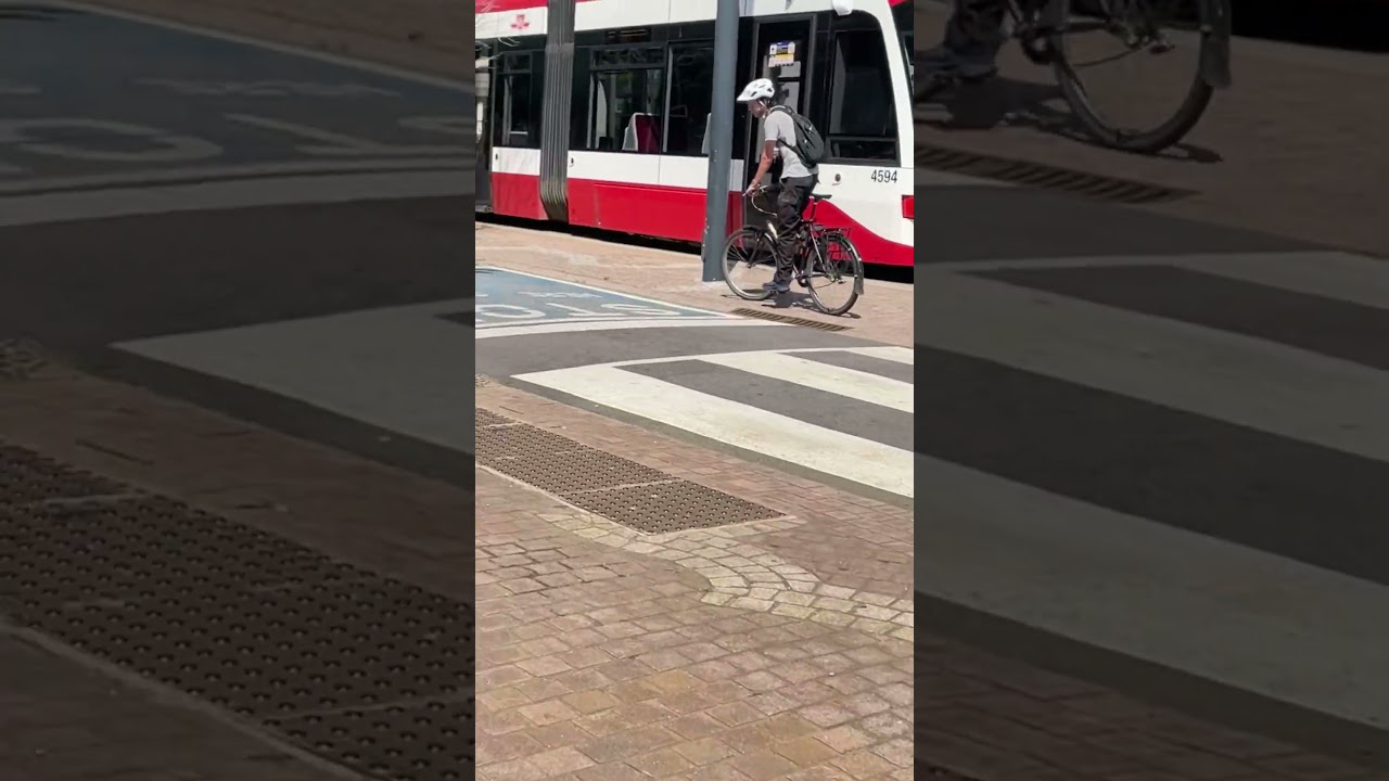 #canada #canadian #flower #ohcanada #ttc #streetcars