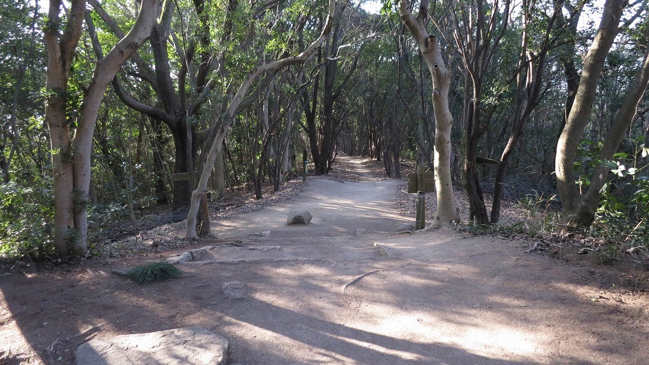 操山