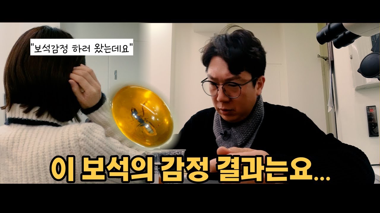 보석감정사에게 벌레가 들어있는 호박보석을 들고가면?