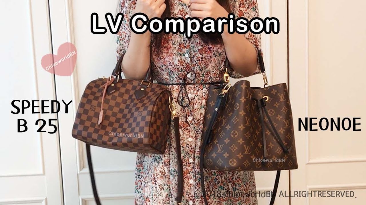LOUIS VUITTON Speedy B 25 VS Neonoe : Comparison Review