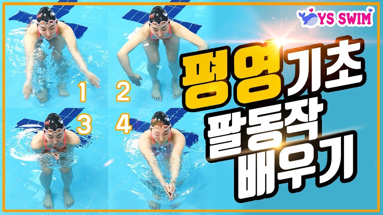 수영 기초 평영 팔동작 배우기 : Breaststroke Basic Arm Movements