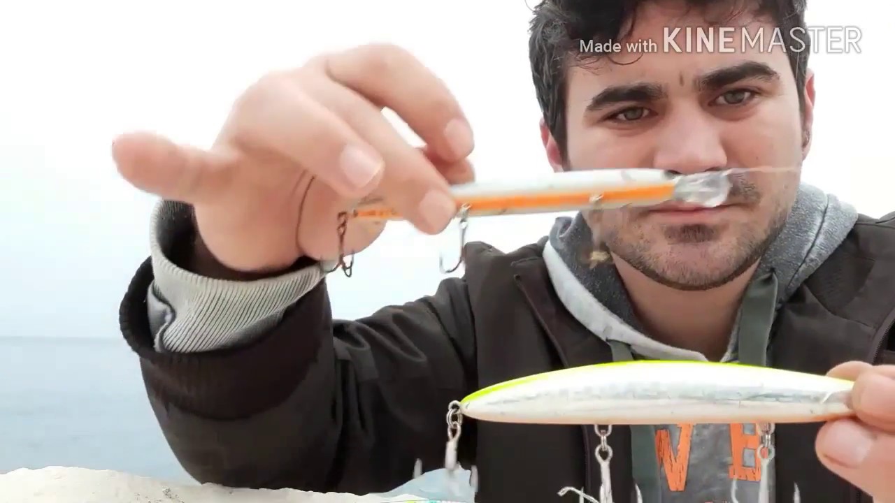 Baracuda avı mera secimi ve sahte secimi