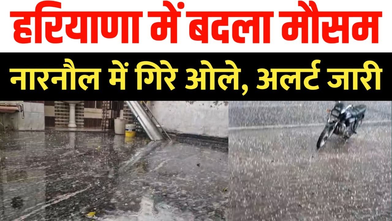हरियाणा में बदला मौसम | बारिश-ओलावृष्टि का अलर्ट | ठंड और शीतलहर जारी #HaryanaWeather #RainAlert