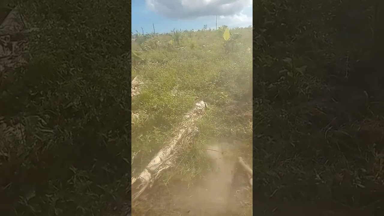Primeiro vídeo 