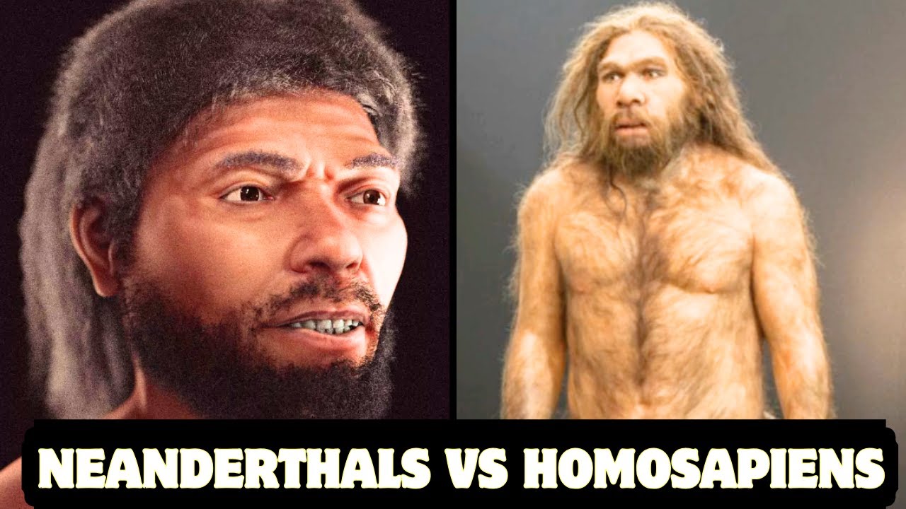 Neanderthals vs Homosapien, What we Know so Far | Research Documented