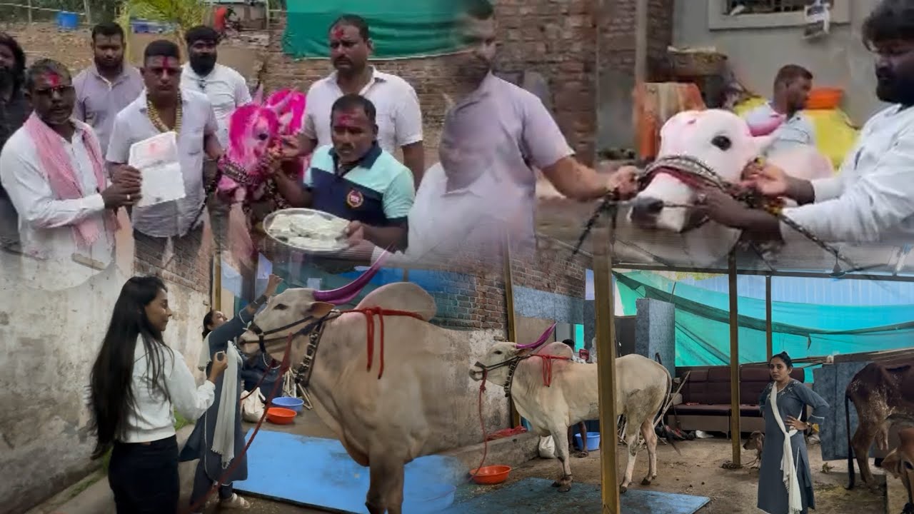 दादाने केली नवीन खरेदी कशी वाटली 🤔