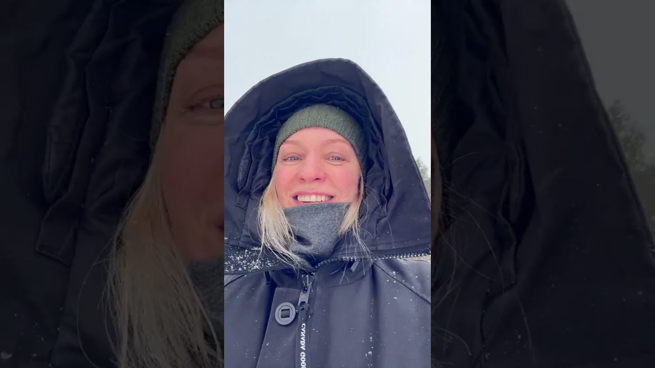 Однажды в студеную зимнюю пору.. 