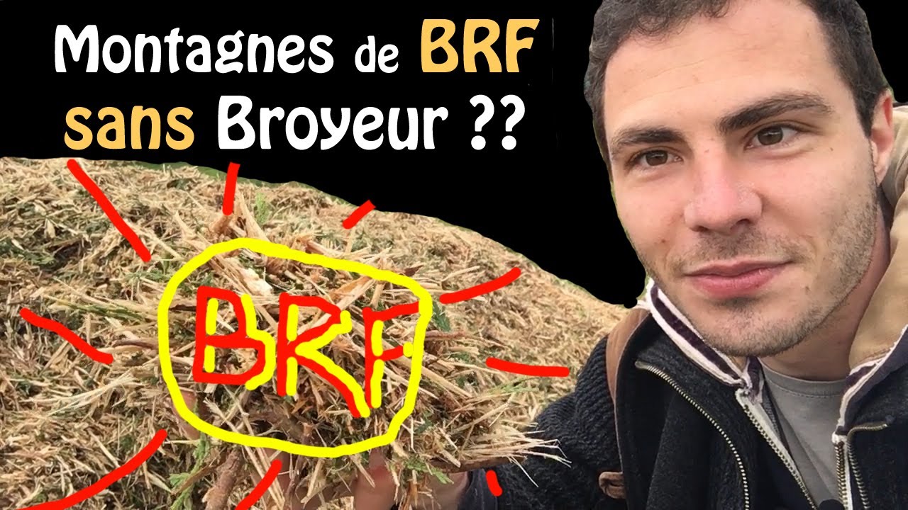 Comment Avoir du BRF sans Broyeur 😎 3 Astuces ✅(Bois Raméal Fragmenté)
