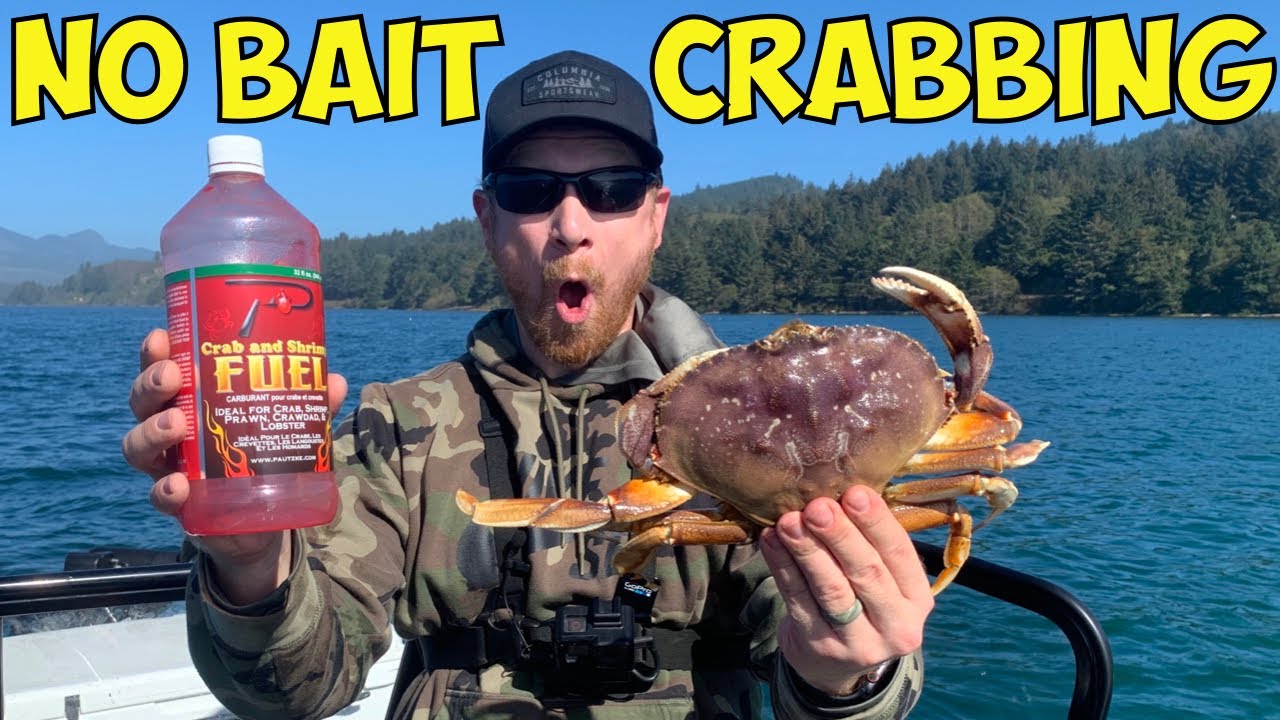 Dungeness CRABBING with NO BAIT (15 Keeper Crab in 1 Trap)