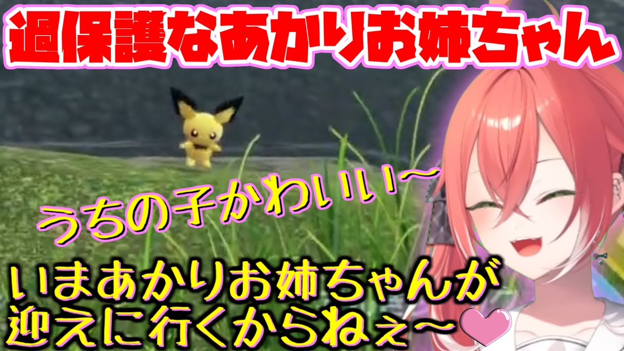 ピチューが可愛すぎて態度の差があからさまな獅子堂あかり.mp4 【にじさんじ/切り抜き/獅子堂あかり】