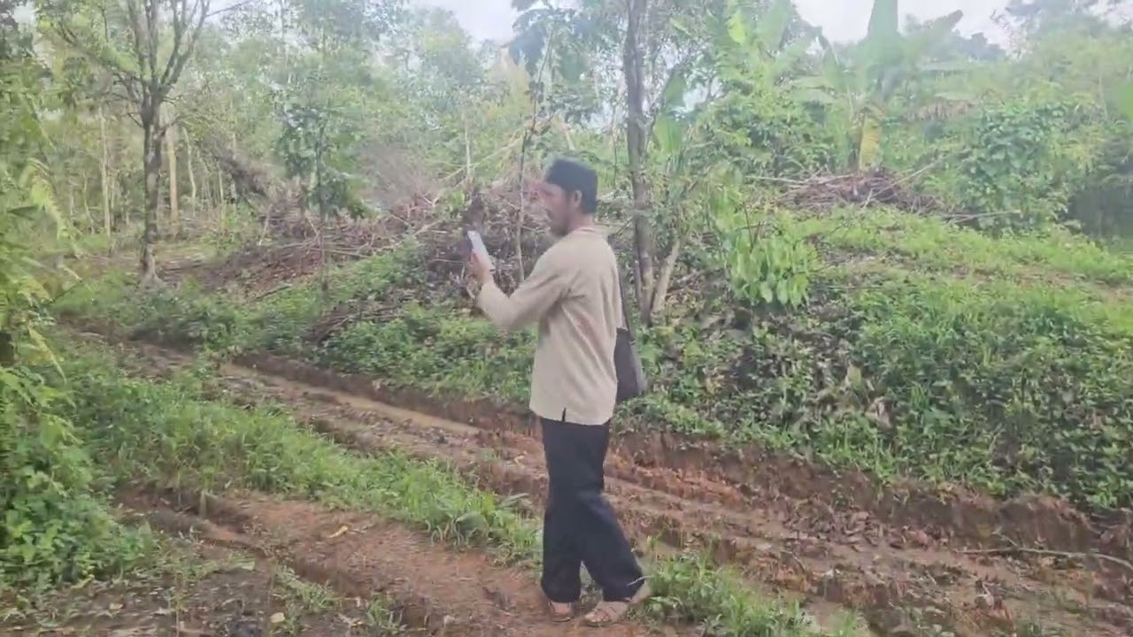 Dijual kebun sawit nempel jalan raya nasional legalitas SHM Harga 100 rb permeter Negosiasi 