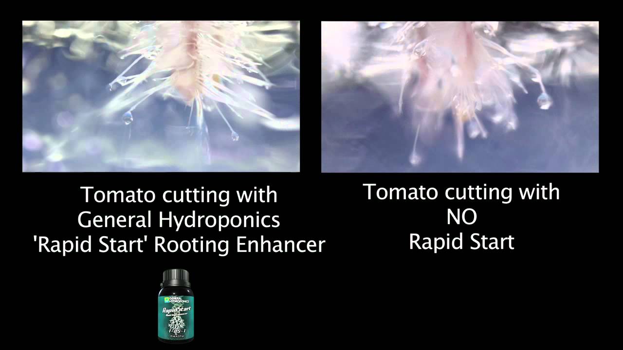 General Hydroponics: RapidStart
