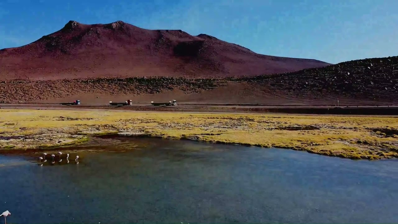 Reserva Nacional los Flamencos Chile