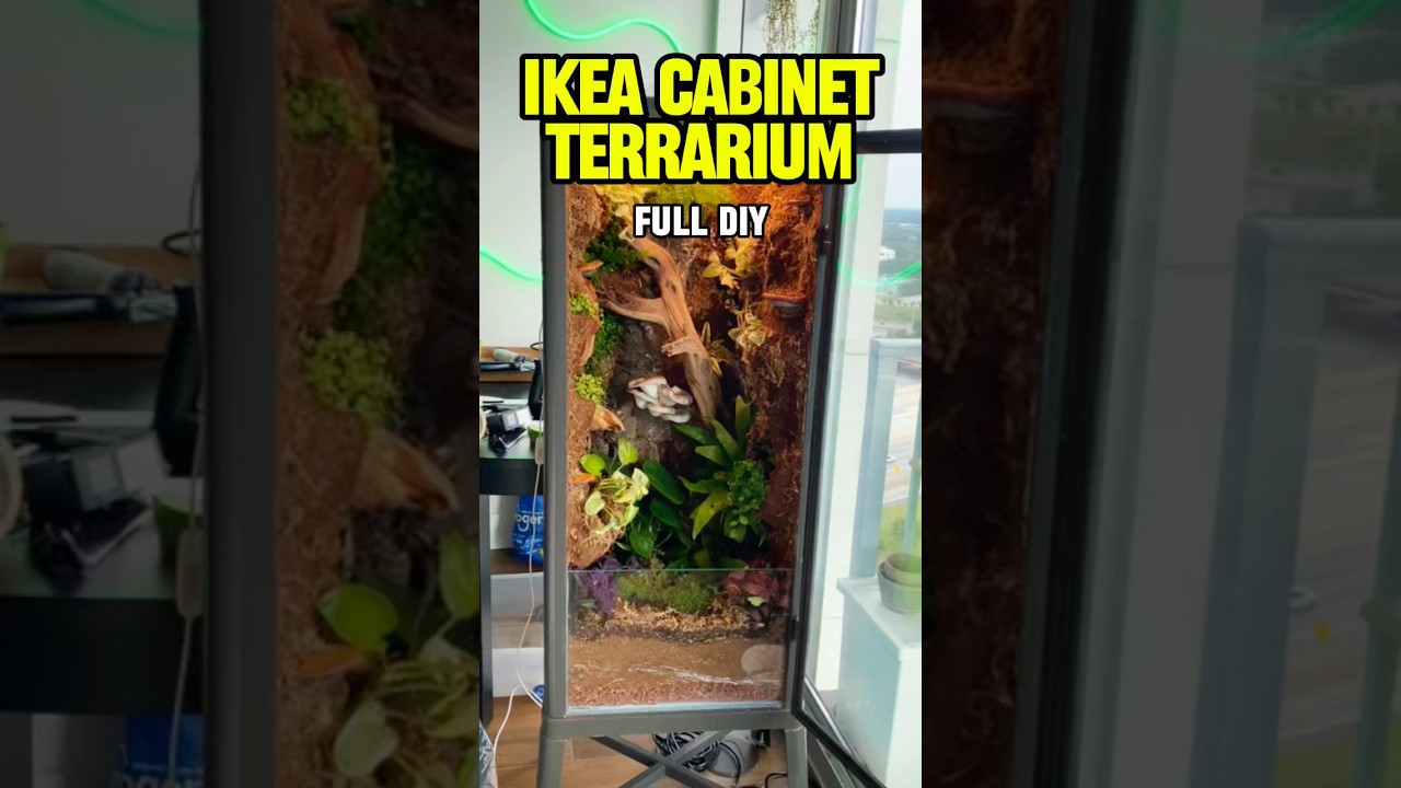 DIY Ikea Cabinet Terrarium for Crested Gecko! #ikeahack #ikea #plants #terrarium #vivarium