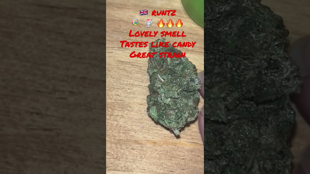 Uk runtz 🇬🇧 #weedcommunity #strainoftheday #cannabisheals