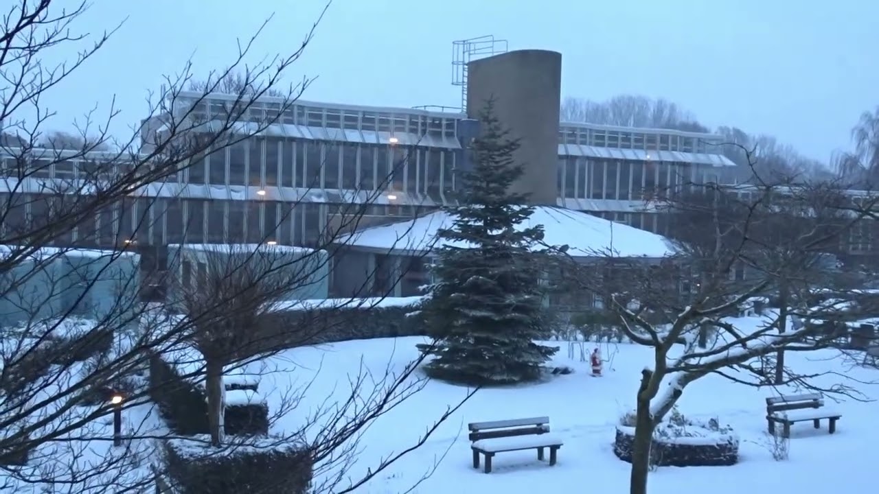 Tuin in de Sneeuw Perelaar