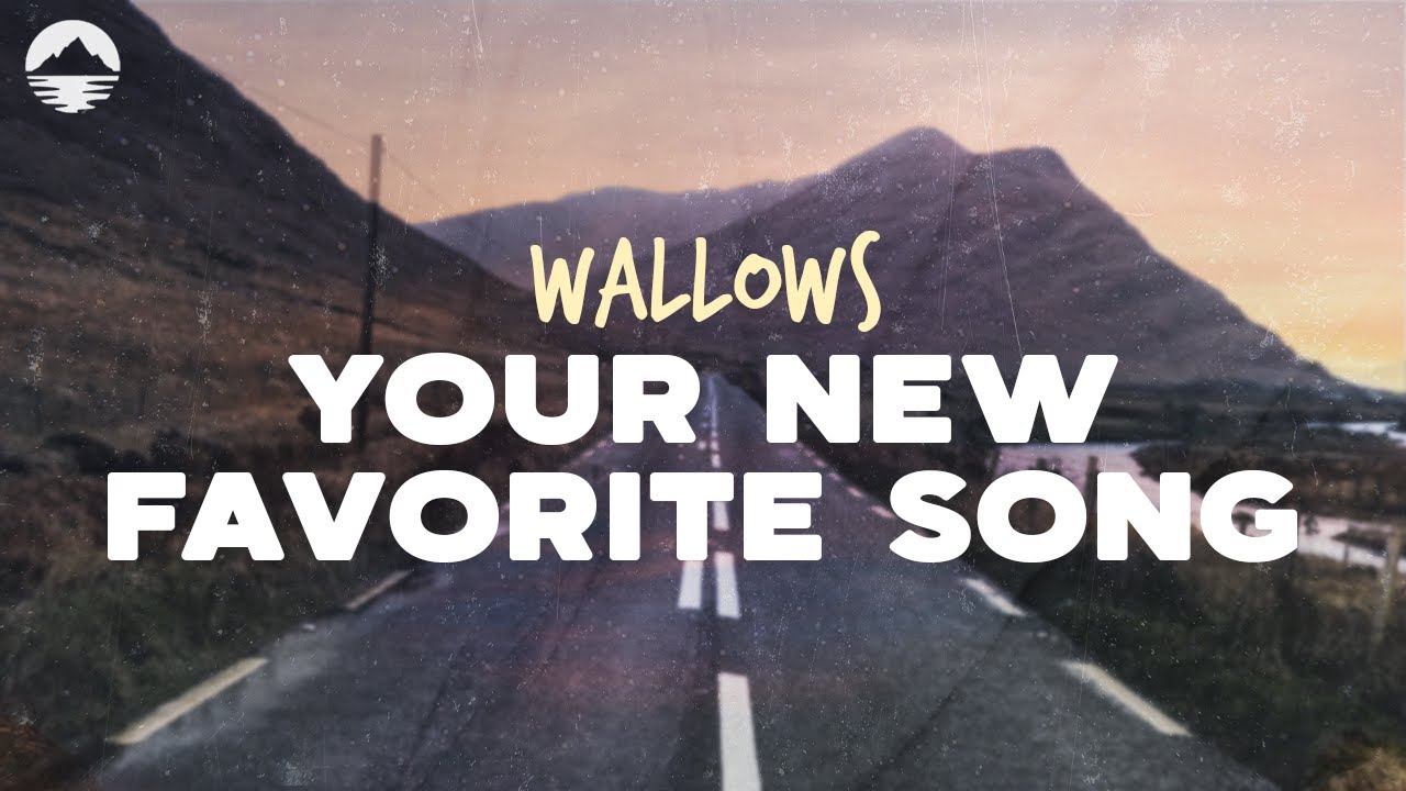 Wallows - Your New Favorite Song | Lyrics