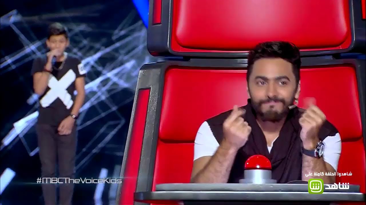 Fallin- آدم الهدّاجي- مرحلة الصوت وبس