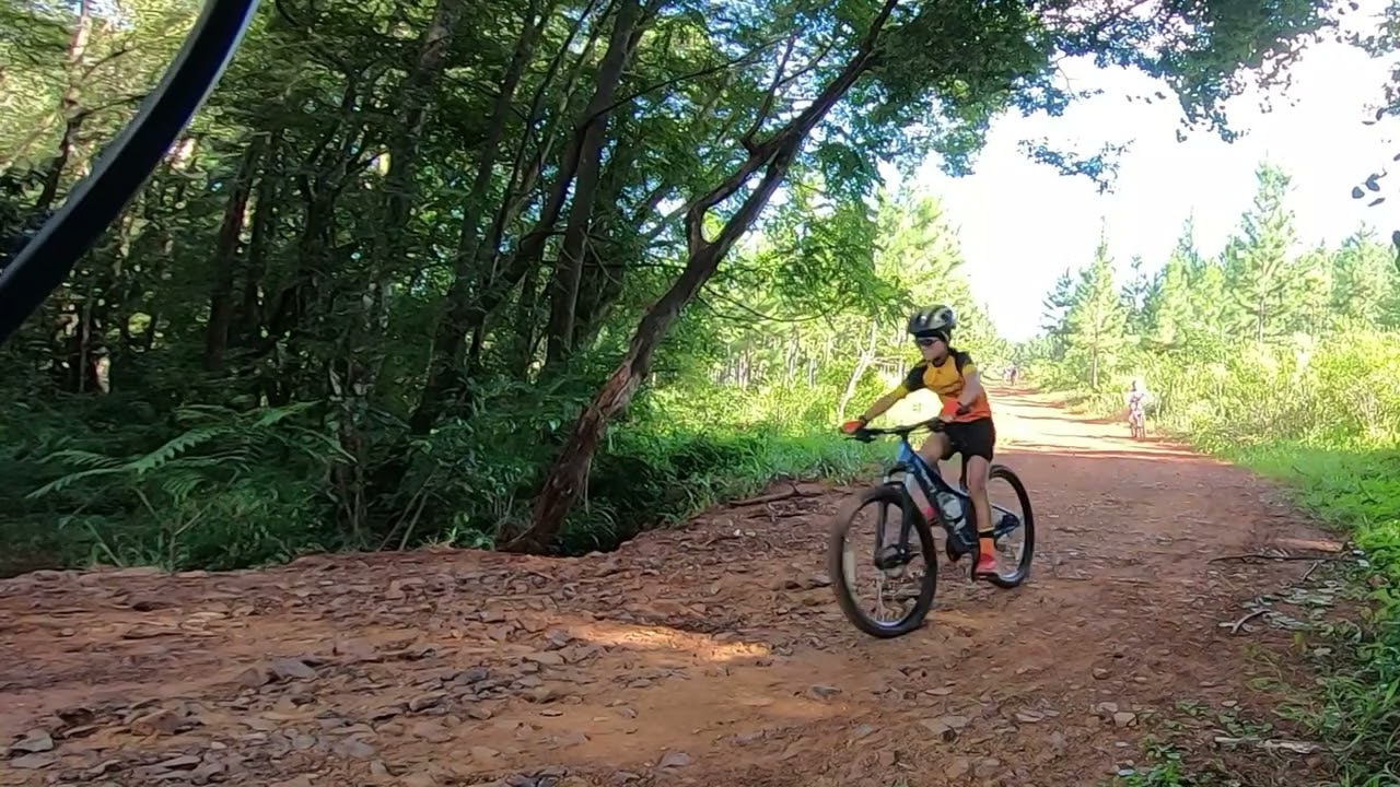 FIETSRY 11 02 2026