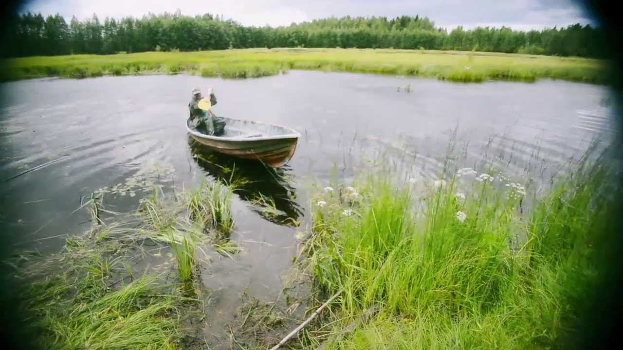 Monipuolinen kultainennoutaja: Rodunomaiset lajit
