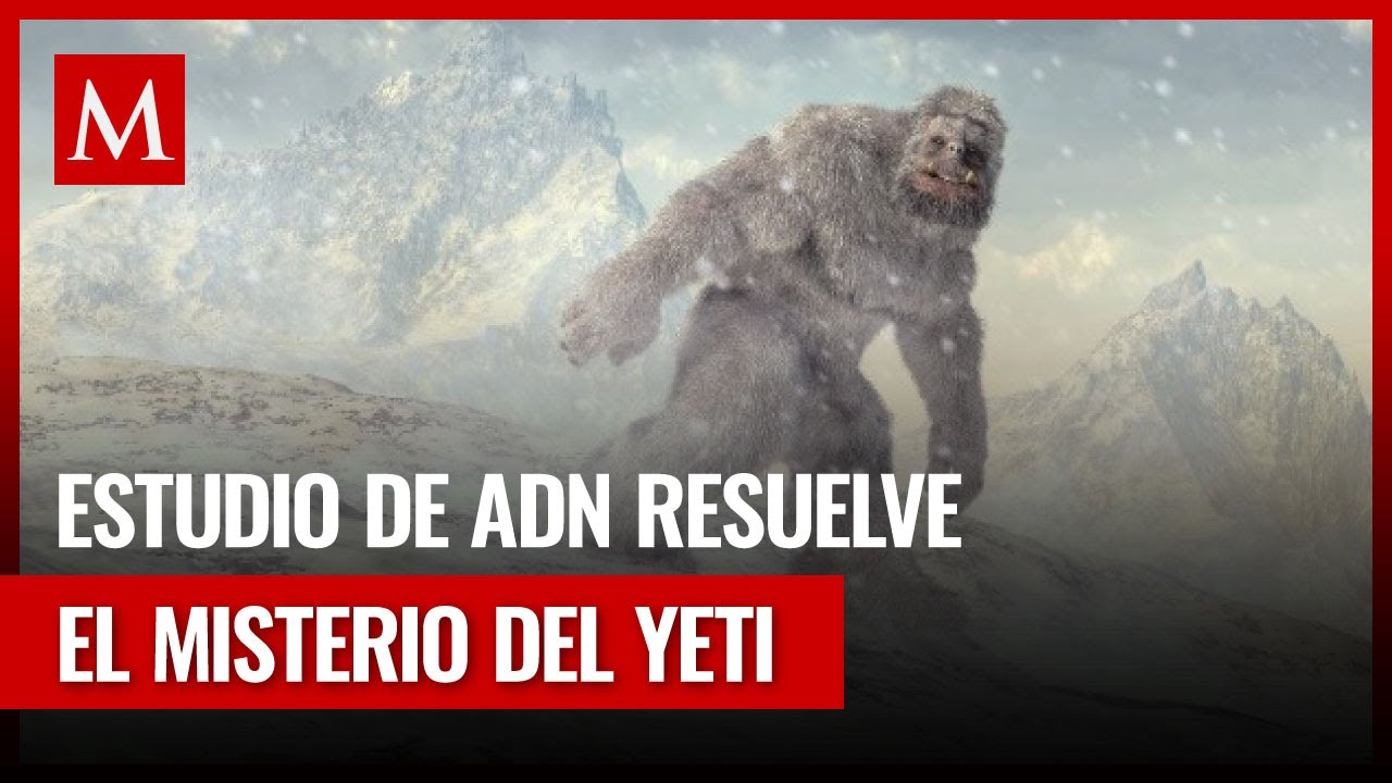 ¿Resultó ser un oso? La incógnita del 'Abominable Hombre de las Nieves'