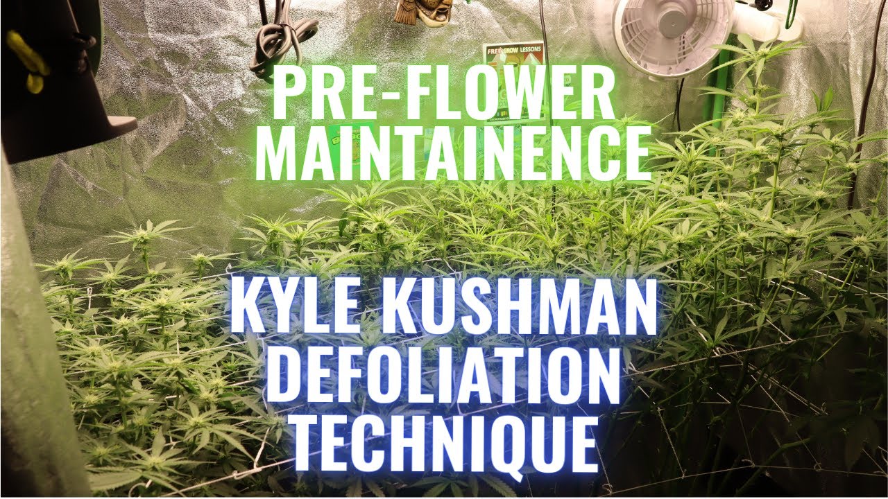 RGT GROW LESSONS: THE KYLE KUSHMAN DENODING TECHNIQUE