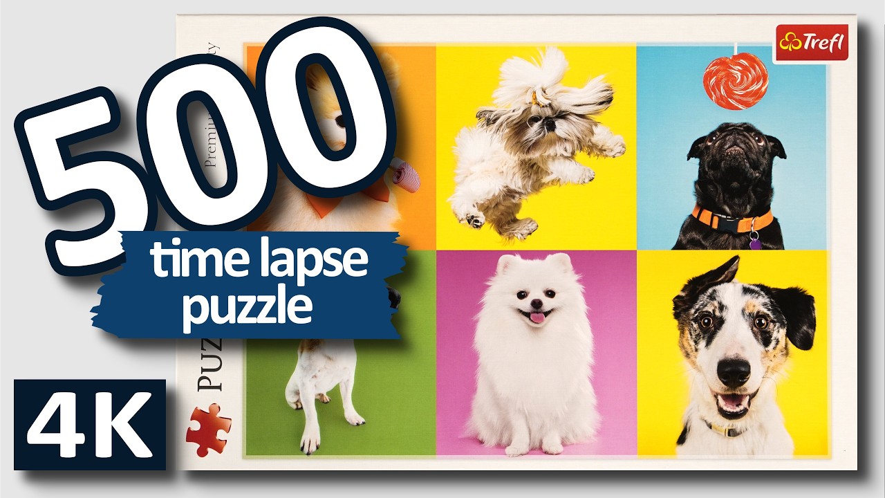 Puzzle time lapse - 500 Trefl - Dogs (4K)