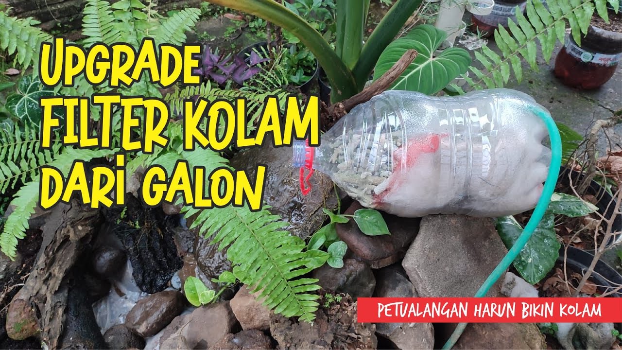 UPGRADE FILTER KOLAM YUK ! || PETUALANGAN HARUN BIKIN KOLAM