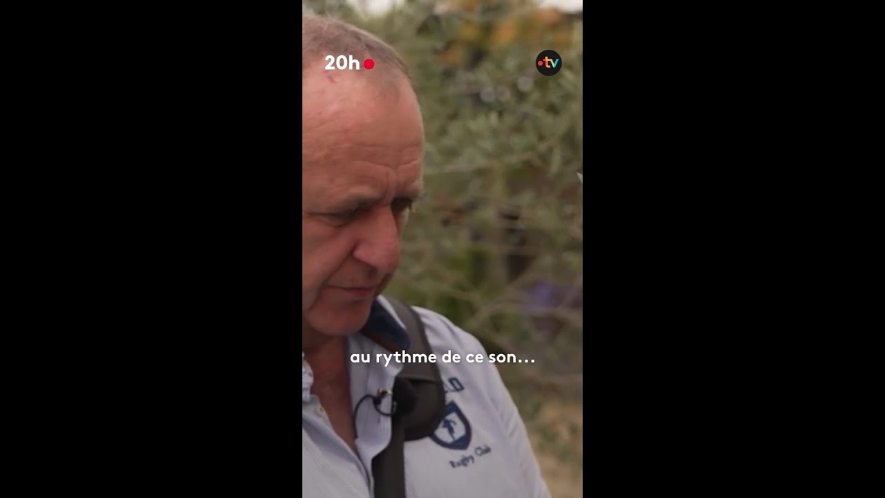 C&oelig;ur artificiel : l'angoisse des greff&eacute;s Carmat