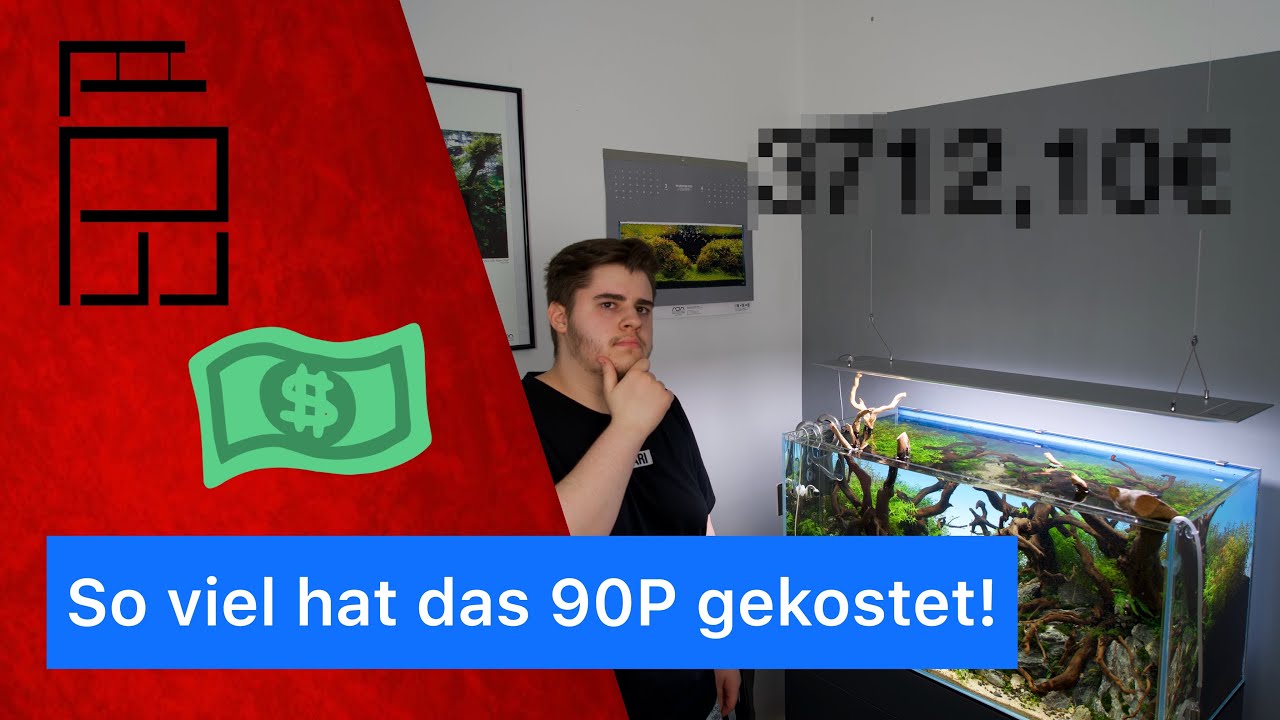 Was kostet ein Aquascape?  I 90P (180L) Aquarium kosten I Pachi_aquarium