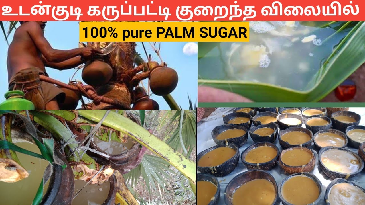 குறைந்த விலையில் Original கருப்பட்டி | Low cost palm sugar
