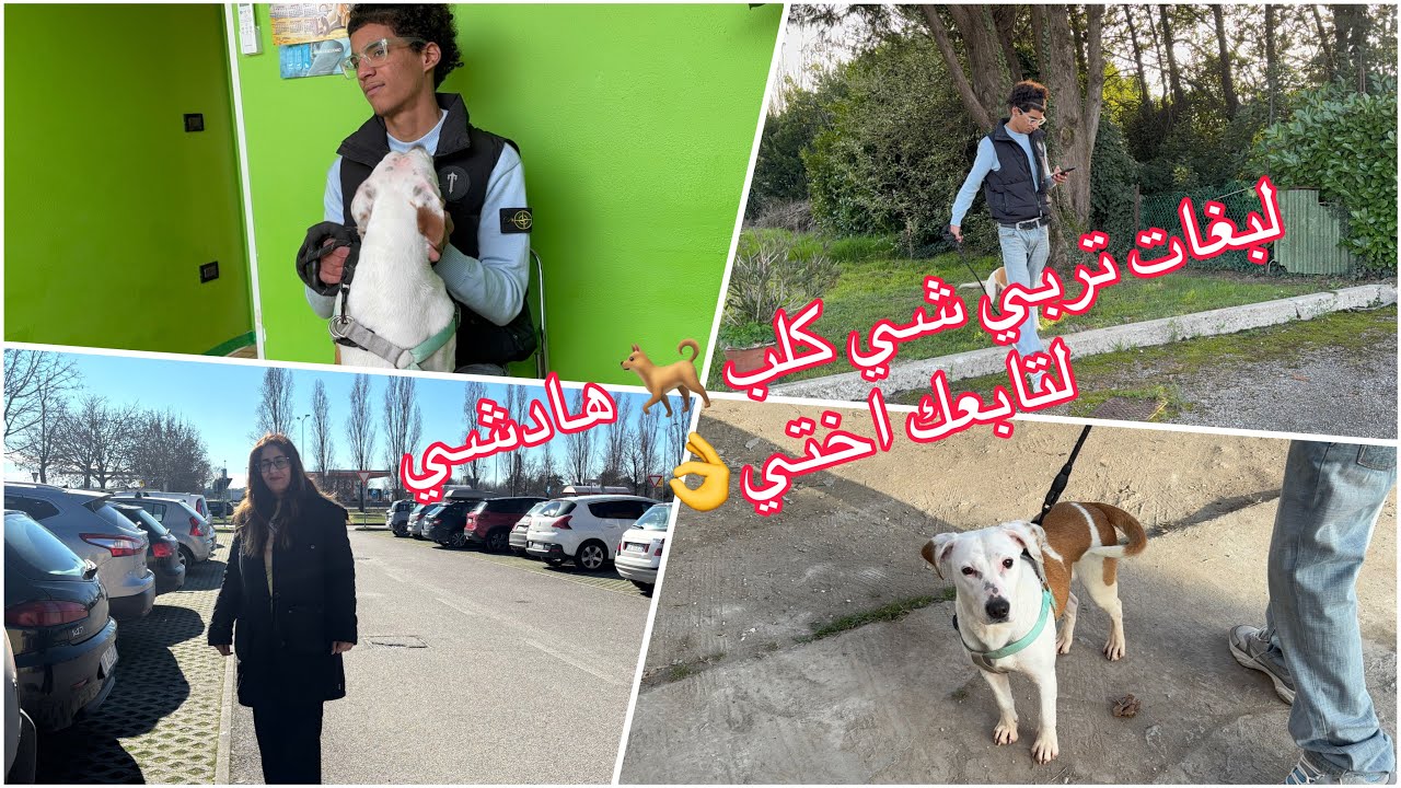 جبت لولدي كلب 🐕 كنت غادي يضربوني ب400€ بروصي حفظني الله🥹سجلتها ولات منا ولينا☺️