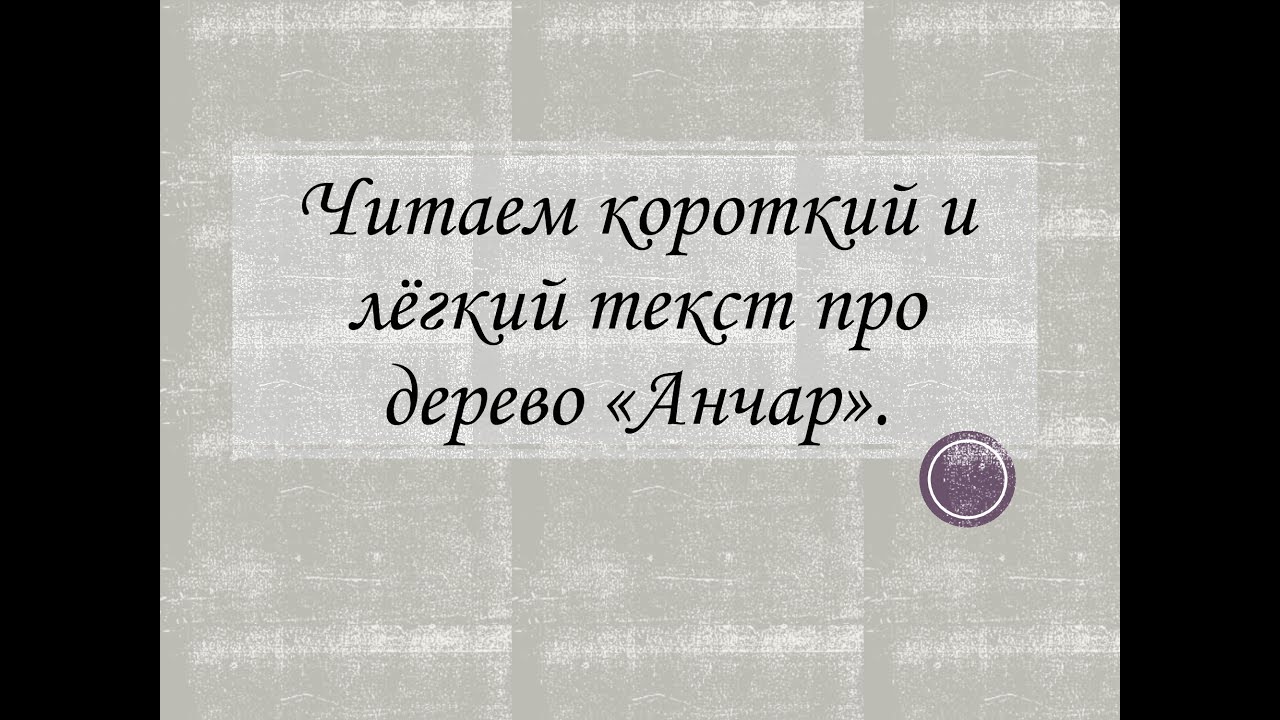 Russian reading: Анча́р (The Upas-Tree, Antiaris)