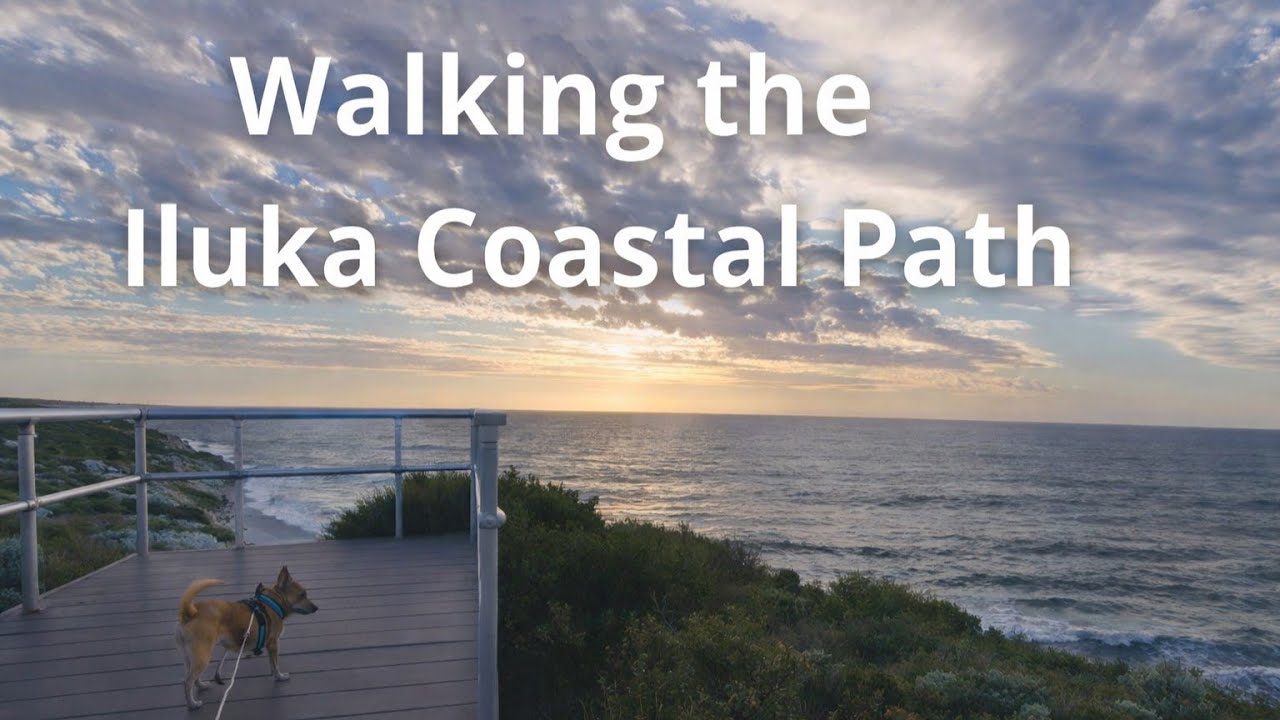 Walking the Iluka Coastal Path: Burns Beach to Iluka Lookout. Perth, Australia.