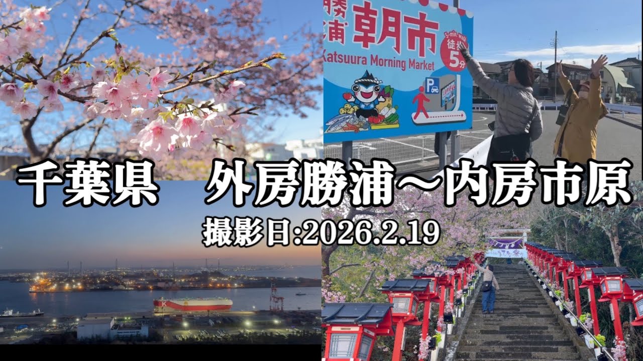 勝浦朝市 河津桜を見ながら食べ歩き🌸シーグラス探しからの千葉ポートタワーで夕焼け