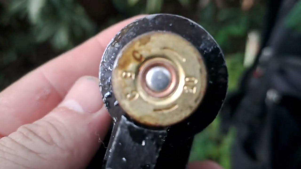 CAÇADA DE ESPERA , BOITO 20, GARRUNCHINHA 22