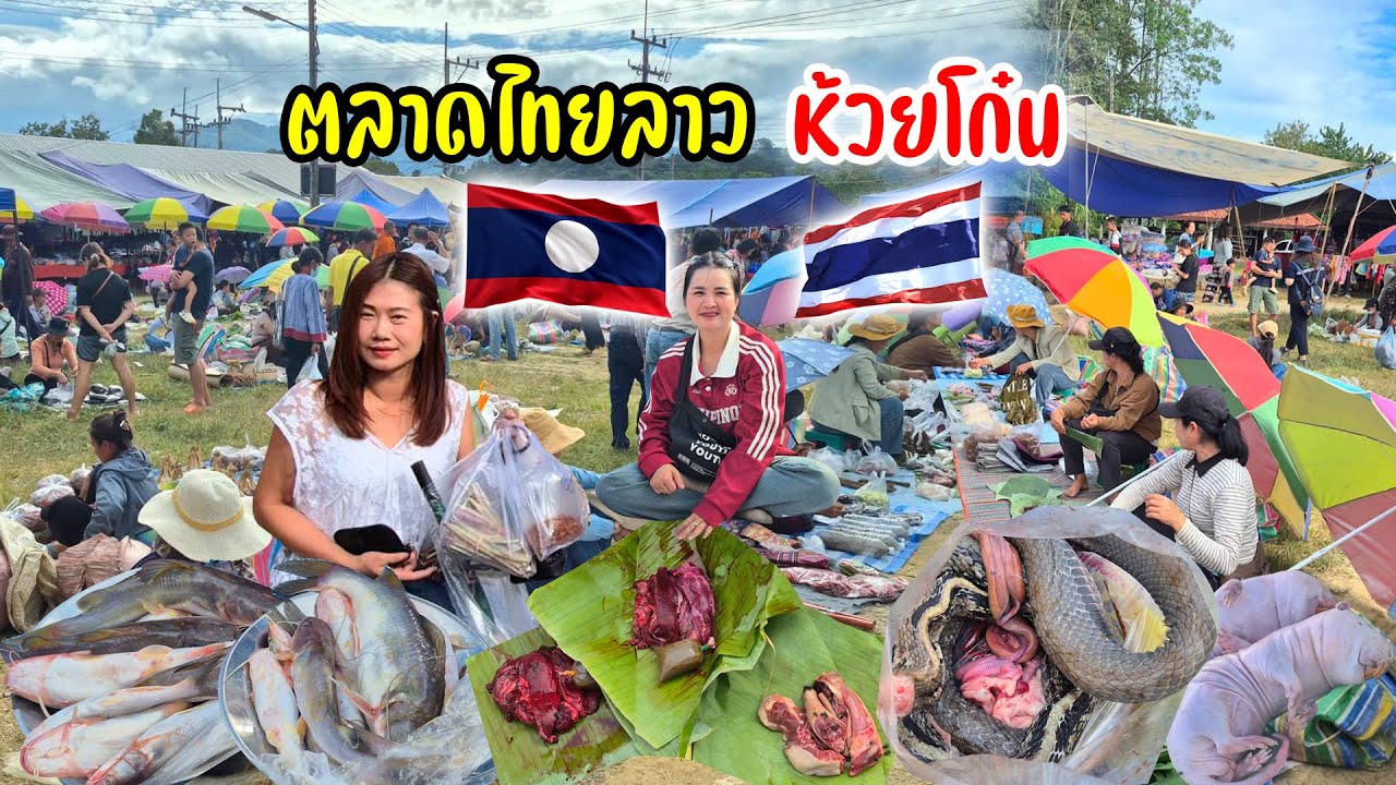 รวมของป่าลาวมาขายไทย งู เนื้อ..ป่า ปลาสดๆ น้ำงึม ตัวอ้น ของกินถิ่นพี่น้องลาว#ล่องน่านแคมป์ปิ้ง Ep.11
