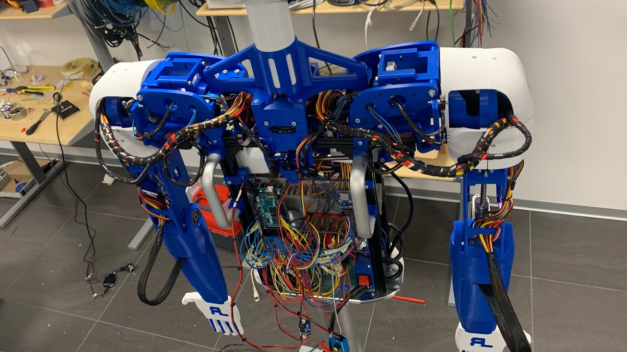 How I Made My Humanoid Robot...
