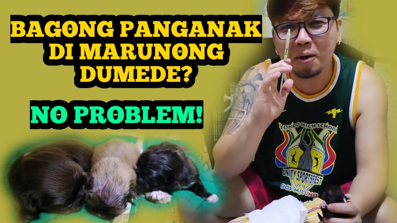 NEW BORN PUPPIES NA AYAW AT HINDI MARUNONG DUMEDE? MAY PARAAN YAN! | PANOORIN MO ITO