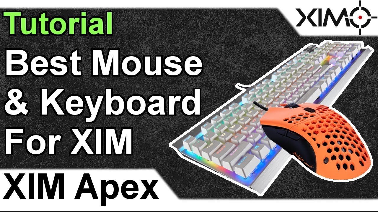XIM APEX - Best Mouse And Keyboard For XIM Tutorial