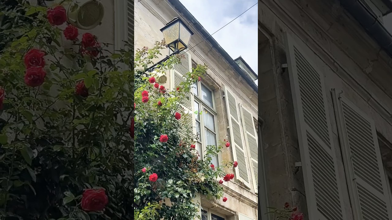 Slow Living: Serenity in the French Countryside 🌸🌿 #slowliving #mindfulliving #serenity