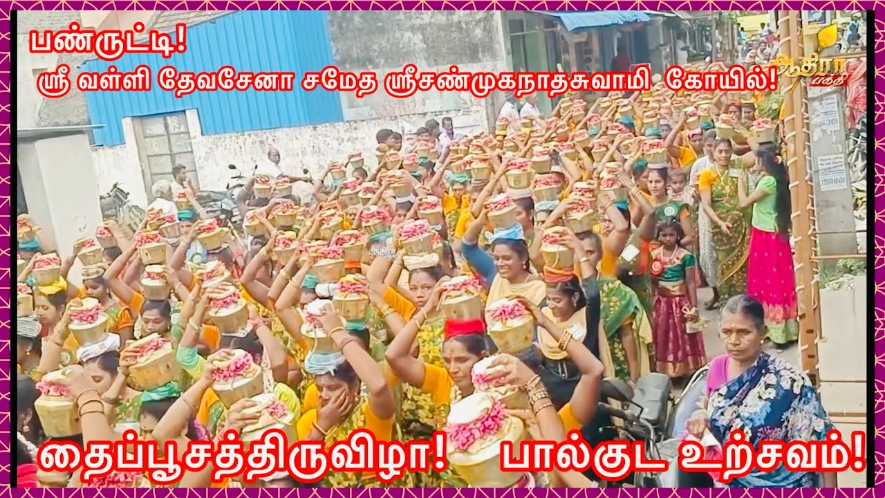 பண்ருட்டி  தைப்பூசம் முன்னிட்டு ஸ்ரீ வள்ளி தேவசேனா சமேத ஸ்ரீசண்முகநாதசுவாமி  கோயில் பால்குட உற்சவம்!