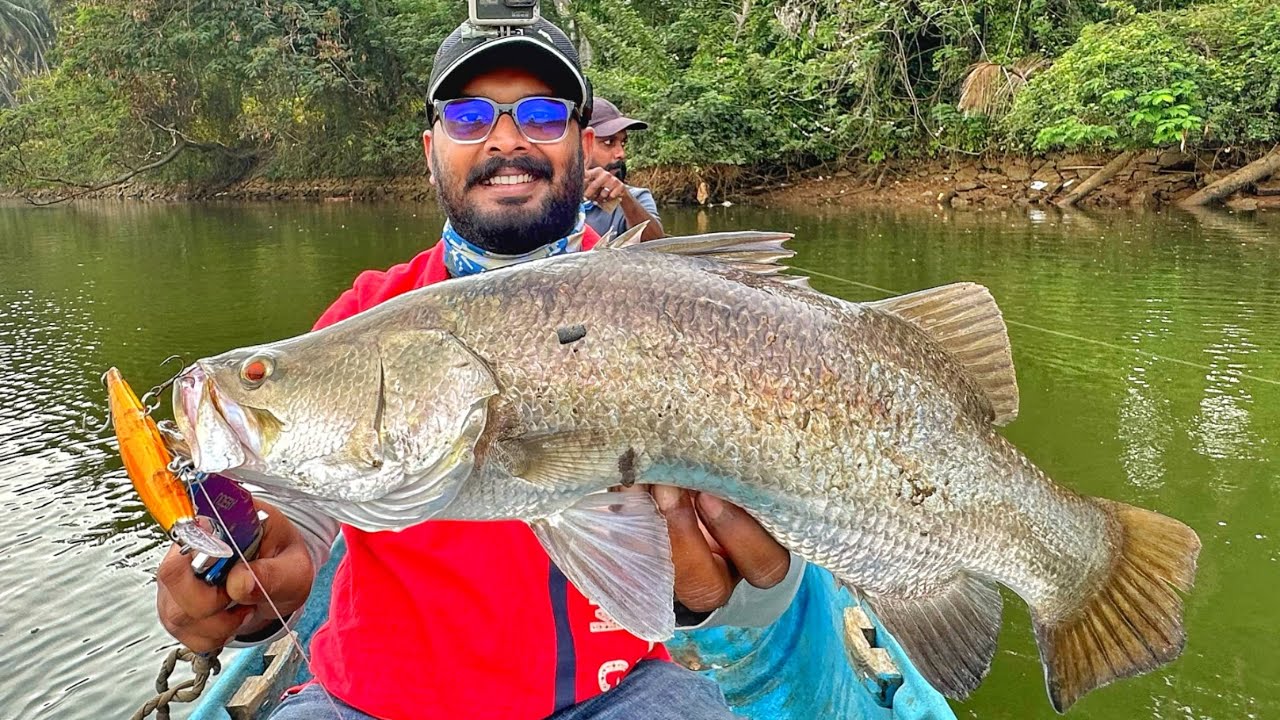 കാളാഞ്ചി അടിച്ചപ്പോൾ😲|ഇങ്ങനെ ഒരു ദിവസം ഇനി കിട്ടുമോ|psycho angler|barramundi fishing. @CTSPassioN