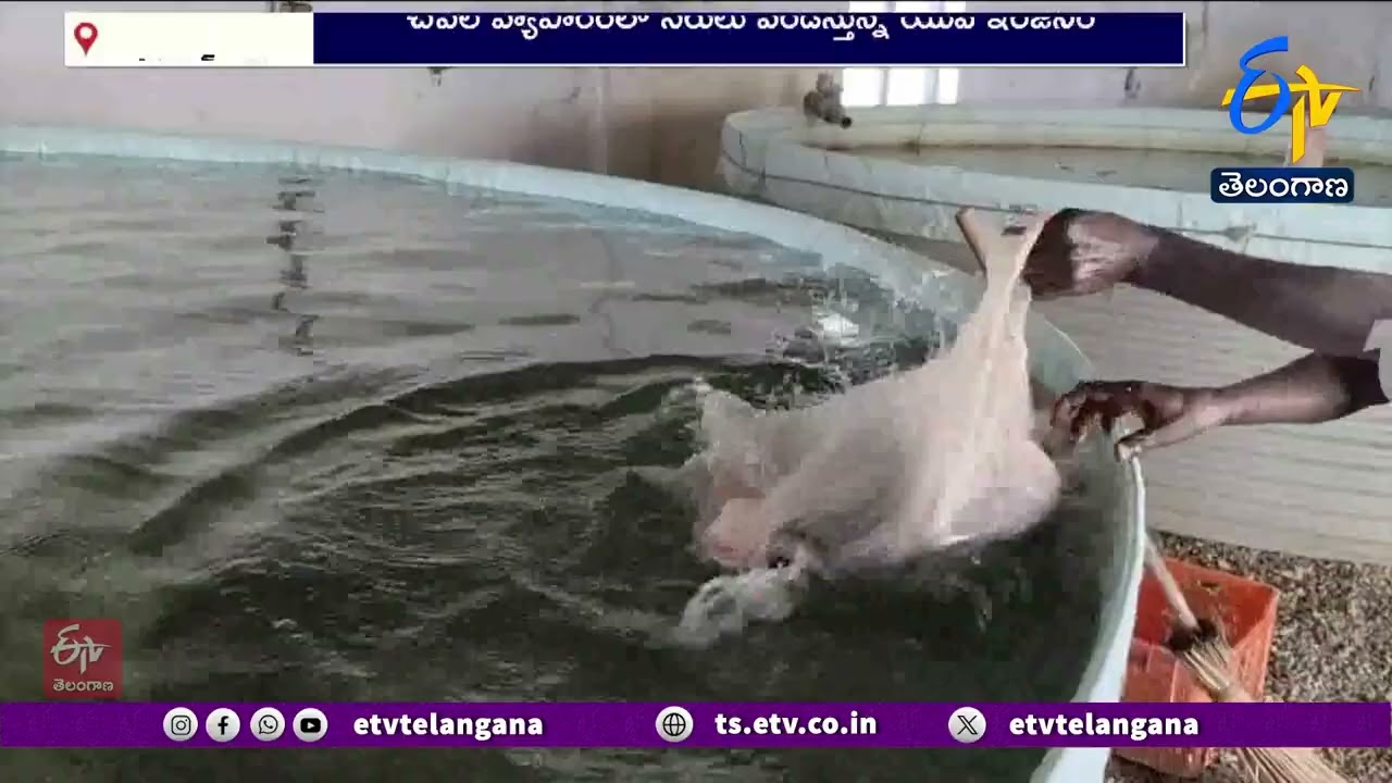 Haryana Engineer Turns Fish Farming Using RAS Technology | చేపల వ్యాపారంలో రాణిస్తున్న యువ ఇంజినీర్&zwnj;