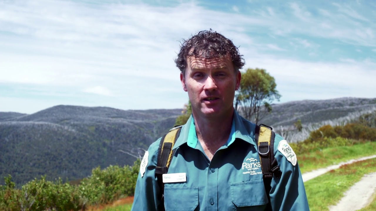 Explore Victoria&rsquo;s Incredible Landscapes with a Licensed Tour Operator